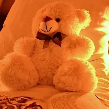 Ferienhaus - відпочинковий комплекс у карпатах