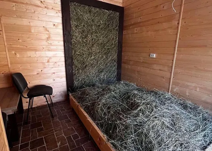 - відпочинковий комплекс у карпатах *